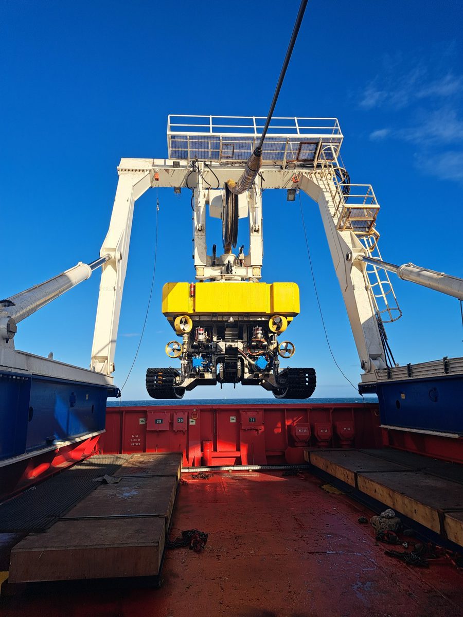 LD Armateurs acquiert un navire de travail polyvalent DP2 pour proposer des solutions Subsea intégrées